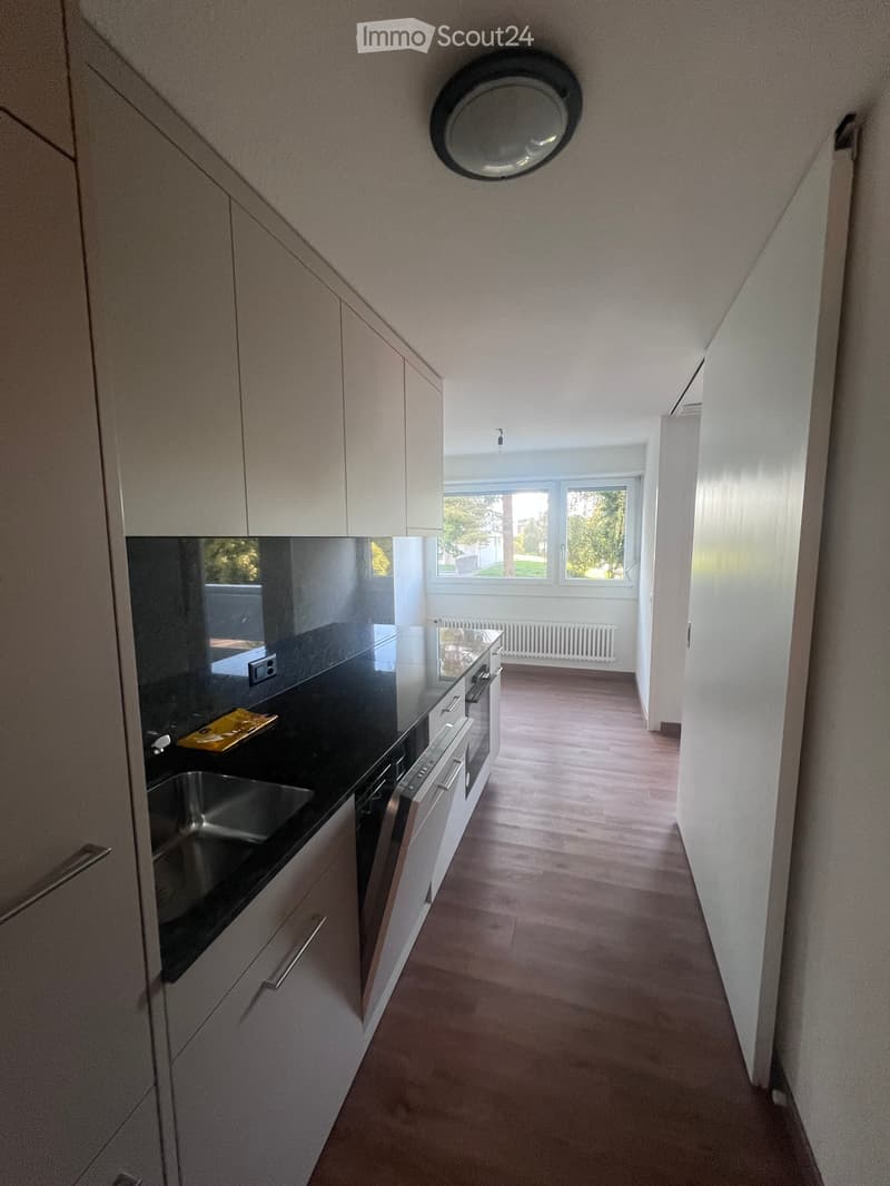 Modern kitchen with light-colored cabinets, a black countertop, and a stainless steel sink. The floor is wooden, and there is a window at the end of the hallway providing natural light.