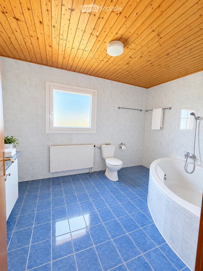 Bathroom with blue tiles, white toilet, bathtub, radiator, towel, window, and plant on the counter.