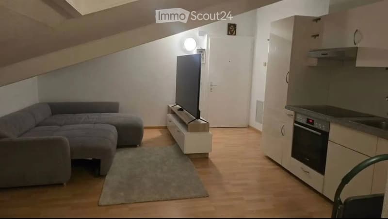 A modern, compact living space with a grey sectional sofa, a TV on a white stand, a small kitchen area with cabinets and an oven, and a grey rug on the wooden floor.