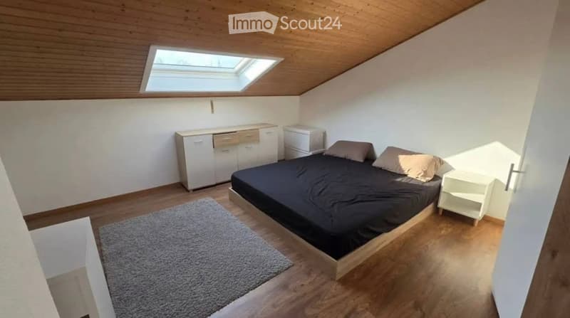 Cozy bedroom with wooden floor, slanted wooden ceiling, skylight window, bed with dark bedding, nightstand, cabinet, and a gray rug.