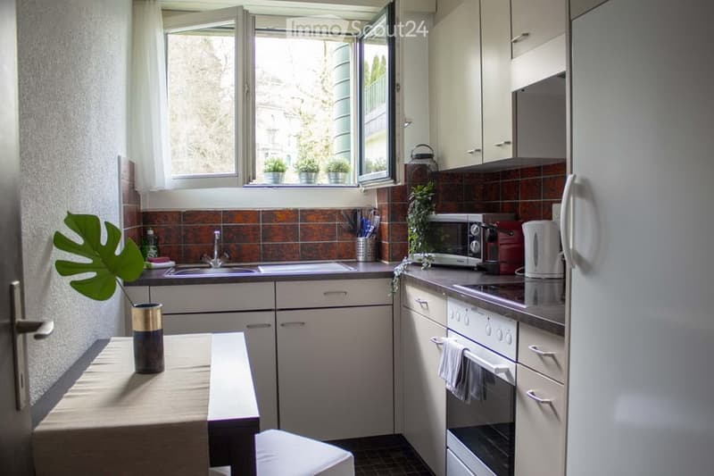 Modern kitchen with white cabinets, stainless steel appliances, and a window overlooking a garden. Features a sink, microwave, oven, refrigerator, and a small table with a plant.