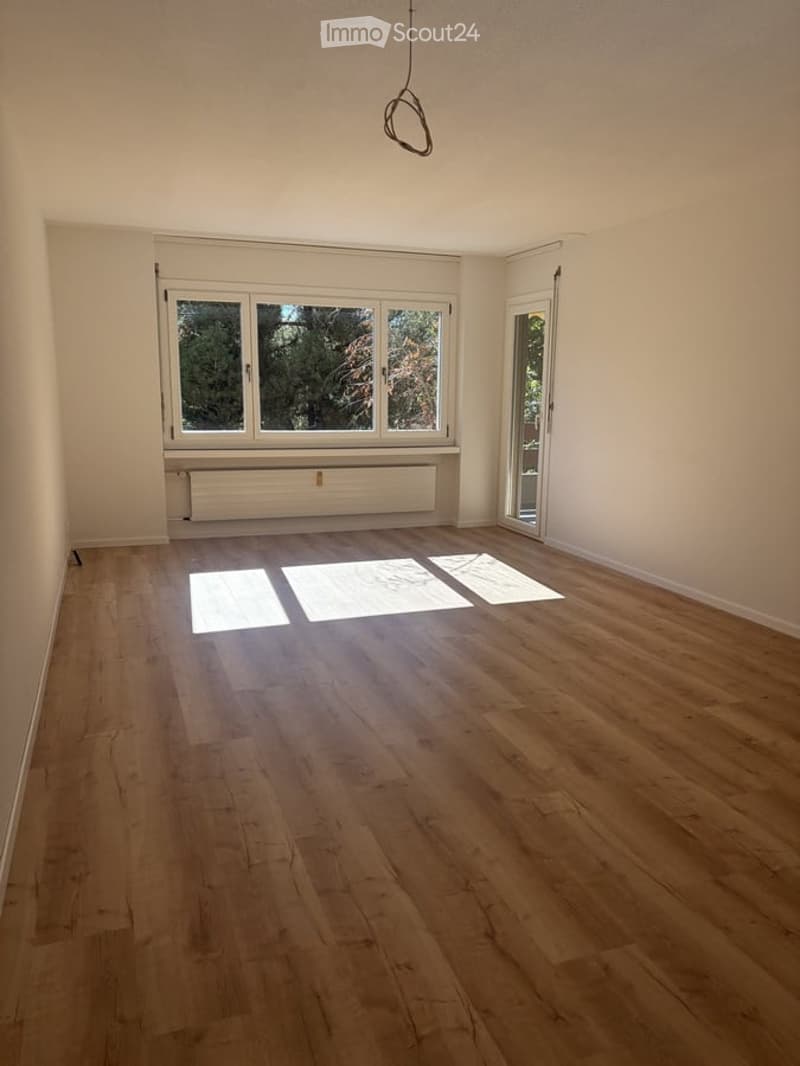 Empty room with light wooden flooring, large window with white frame, radiator below, and a glass door leading outside.