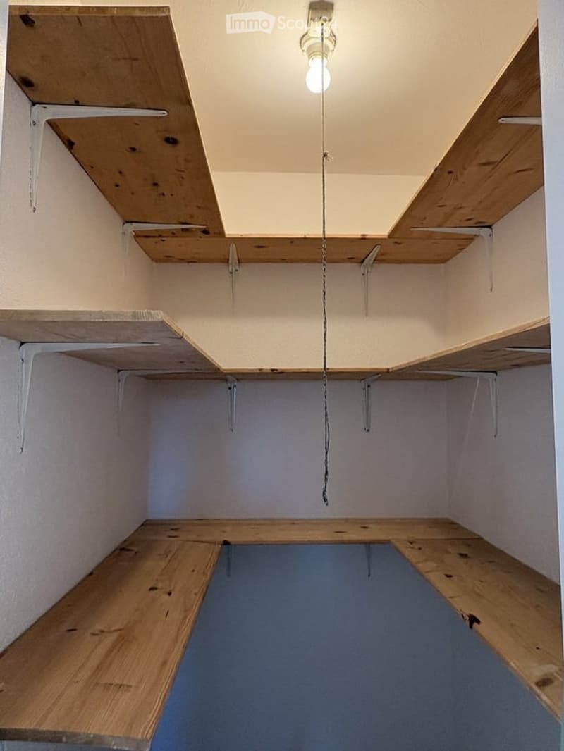 Empty closet with wooden shelves and a hanging light fixture. No furniture or items present.
