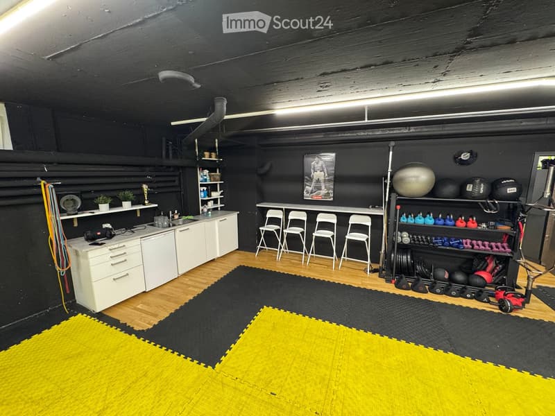{"type": "Furnished Room", "objects": ["kitchen cabinet", "sink", "faucet", "chair", "ball", "dumbbell", "shelf", "picture frame", "plant", "bottle", "cup", "bottle", "bottle", "bottle", "bottle", "bottle", "bottle", "bottle", "bottle", "bottle", "bottle"