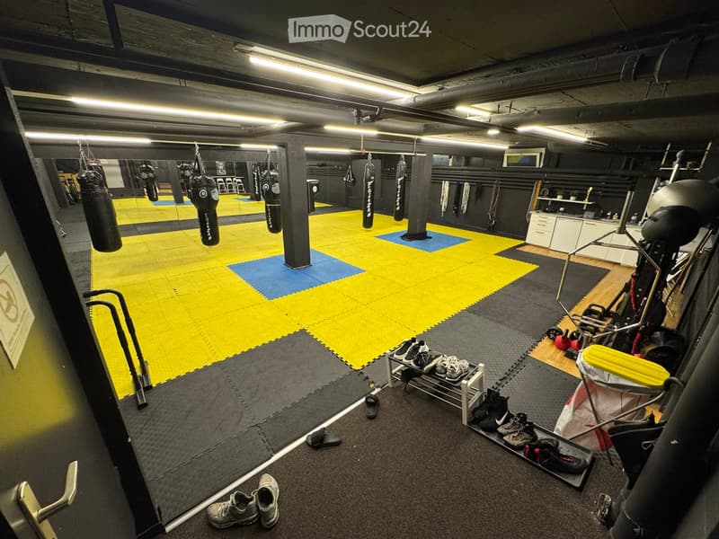 A spacious gym with boxing bags hanging from the ceiling, a large mat area, shelves with shoes, and various exercise equipment.