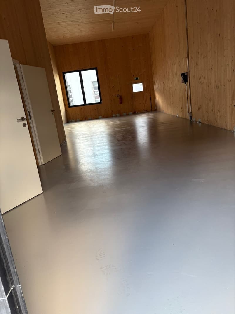 Empty room, wooden walls, windows, cement floor, doors
