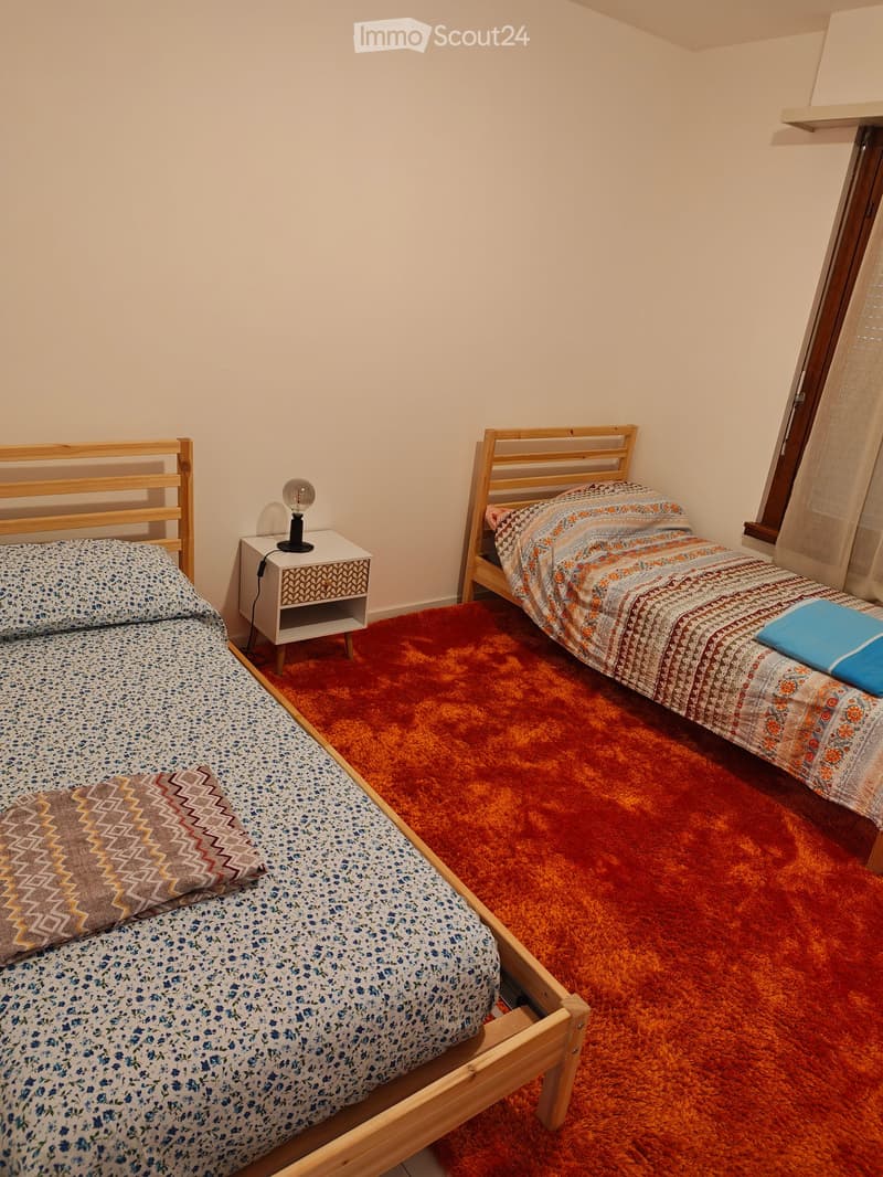Cozy bedroom with two single beds, patterned bedding, a nightstand with a lamp, and a red shag rug.
