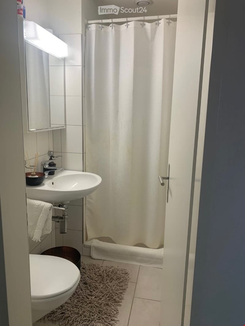 Modern bathroom with a white sink, toilet, shower curtain, and a small mirror above the sink. A towel hangs on the side and a small rug is placed on the floor.