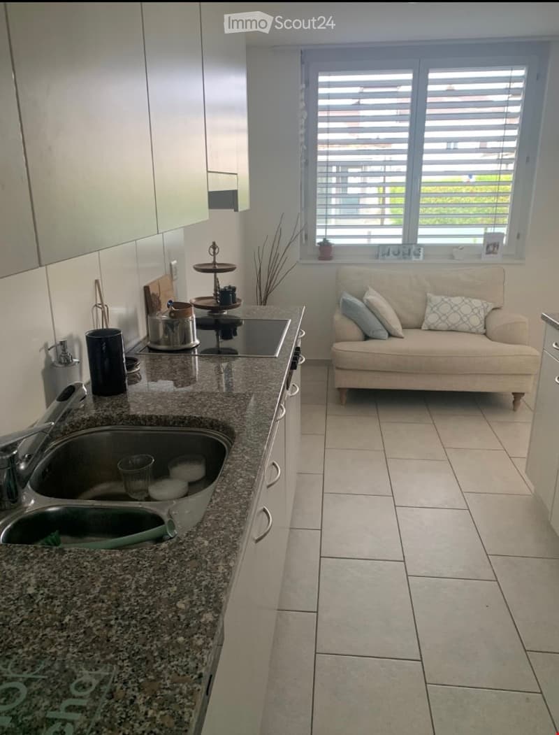 A modern, open-plan living and kitchen area with a cream sofa, coffee table, granite countertop, sink, and various decorative items.