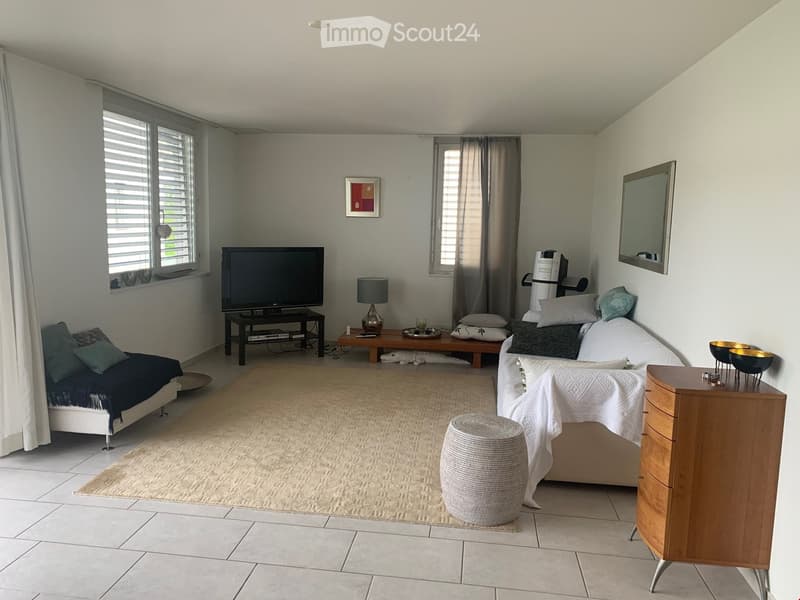 A modern, well-lit living space with a sofa, a small bed, a TV stand, a wooden table, a lamp, a mirror, and a drawer unit.