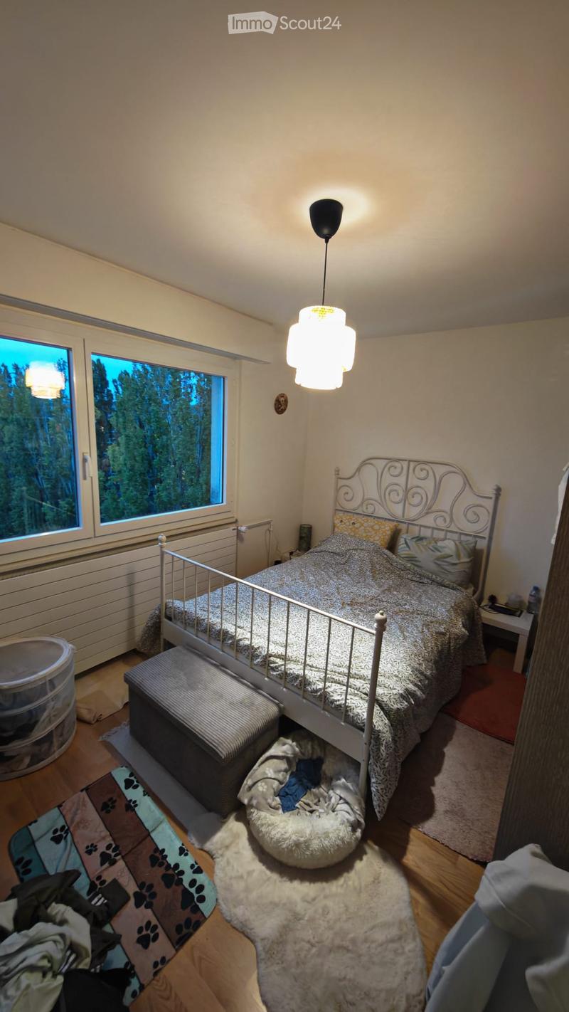 Cozy bedroom with a single bed, patterned bedding, a dog bed, a small stool, a hanging lamp, and a window view of trees.