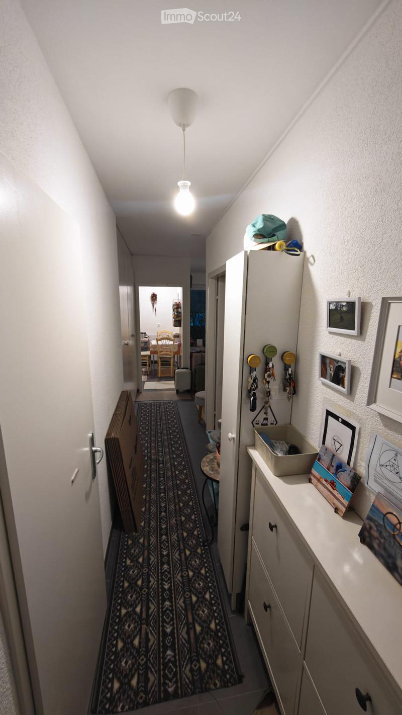 A narrow hallway with a patterned rug, white walls, and a hanging light fixture. A small table with a plant sits near the end, and a closet with keys and a hat is visible on the right side.