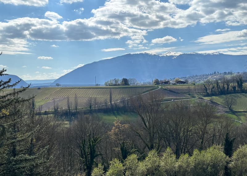 Garden / Outdoor Area. A panoramic view of a rural landscape with cultivated fields, scattered trees, and distant snow-capped mountains under a partly cloudy sky.