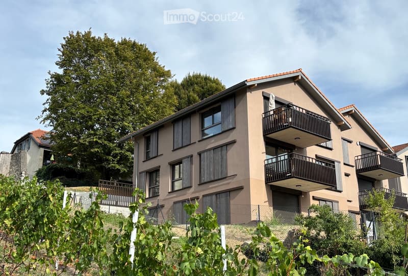 Two-story house with beige facade, multiple windows, balconies, and a garage. Surrounded by greenery and a vineyard in the foreground.