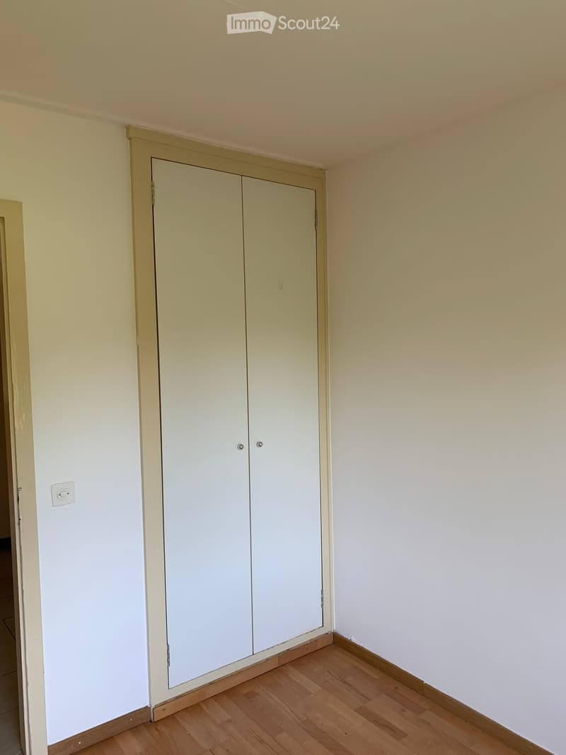 Empty room with light-colored walls, wooden flooring, and a built-in closet with double doors.