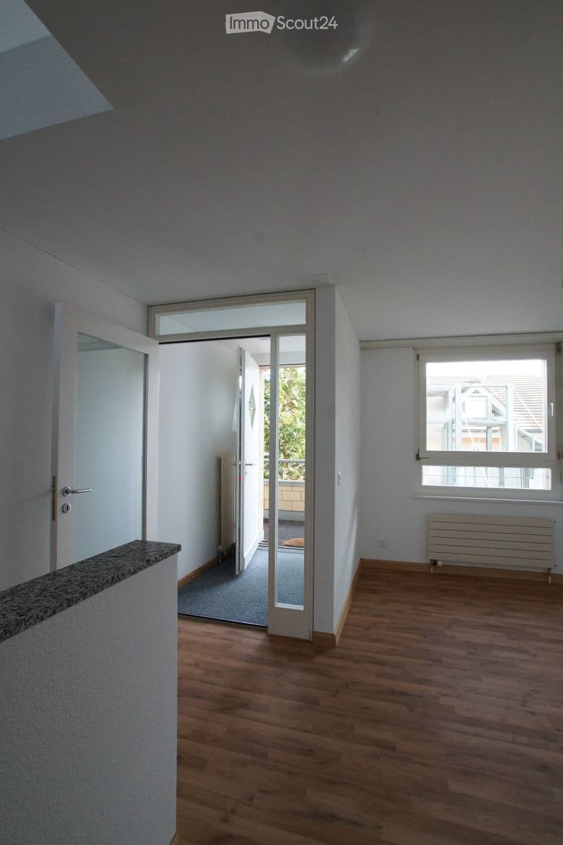 {"visible_features": ["Balcony / Terrace"], "type": "Living room", "description": "empty room, white walls, wood floor, sliding glass door leading to balcony, large glass window, radiators, overhead light"}