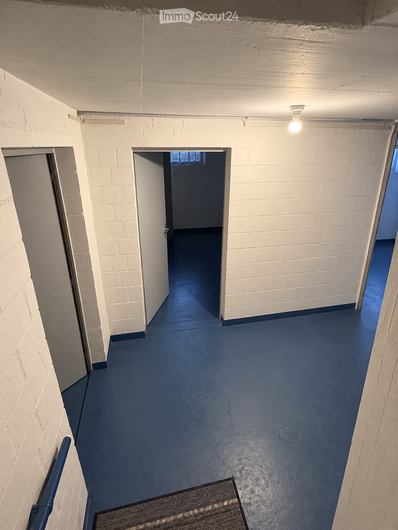 A narrow hallway with white brick walls, blue painted floor, and a single light fixture on the ceiling. There is a small rug placed on the floor near the camera.
