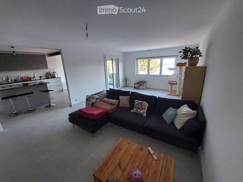 {"type": "Furnished Room", "objects": ["sofa", "coffee table", "stool", "cat tree", "kitchen counter", "stool", "kitchen cabinet", "kitchen sink", "kitchen faucet", "kitchen stove", "kitchen microwave", "kitchen refrigerator", "kitchen dishwasher", "kitch