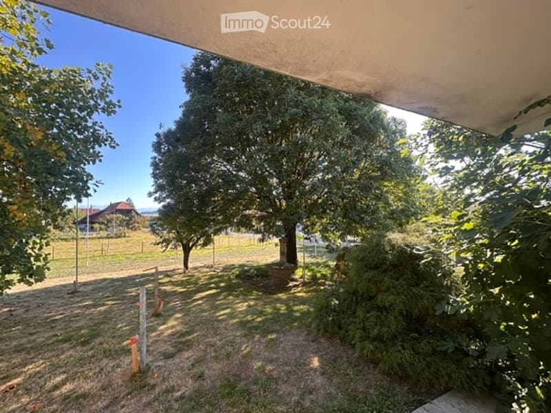 A peaceful garden area with trees, grass, and a clear blue sky. The space is surrounded by a wooden fence and features a few scattered plants and a small structure in the background.
