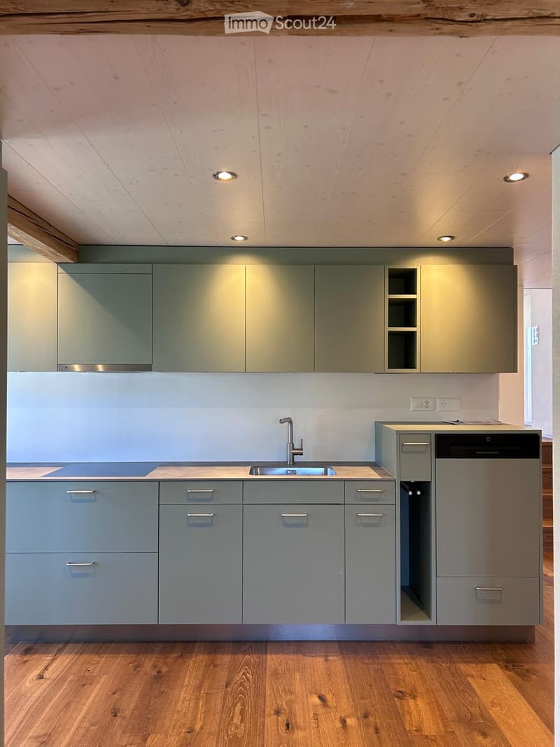 Modern kitchen with grey cabinets, a stainless steel sink, and a dishwasher, featuring wooden flooring and recessed lighting.