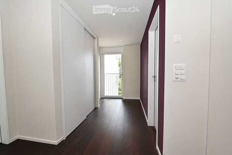 Modern hallway with dark wooden flooring, white walls, and a sliding door leading to a balcony area.