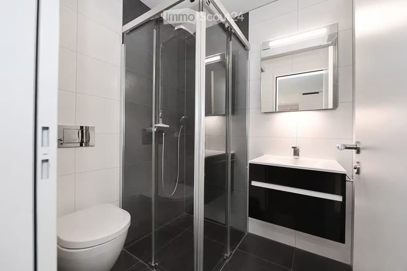Modern bathroom with a glass-enclosed shower, a toilet, a sink with a vanity cabinet, and a large mirror above the sink.