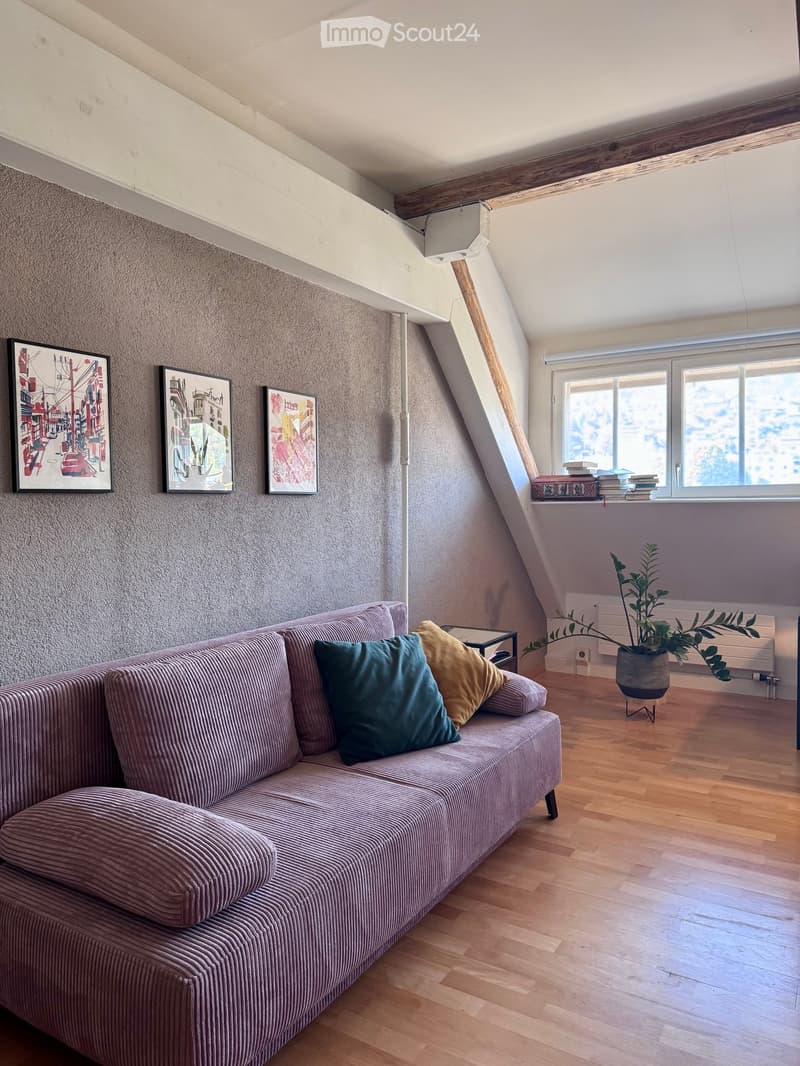 Living room with wooden flooring, a sofa with pillows, a small table, a potted plant, and books on a shelf near the window.