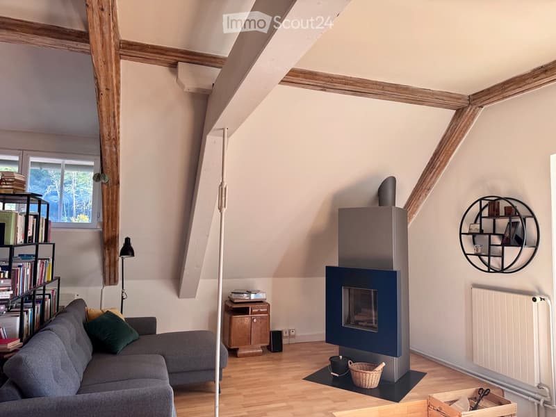 Cozy living room with exposed wooden beams, a modern fireplace, a grey sectional sofa, a bookshelf, and a round wall shelf.