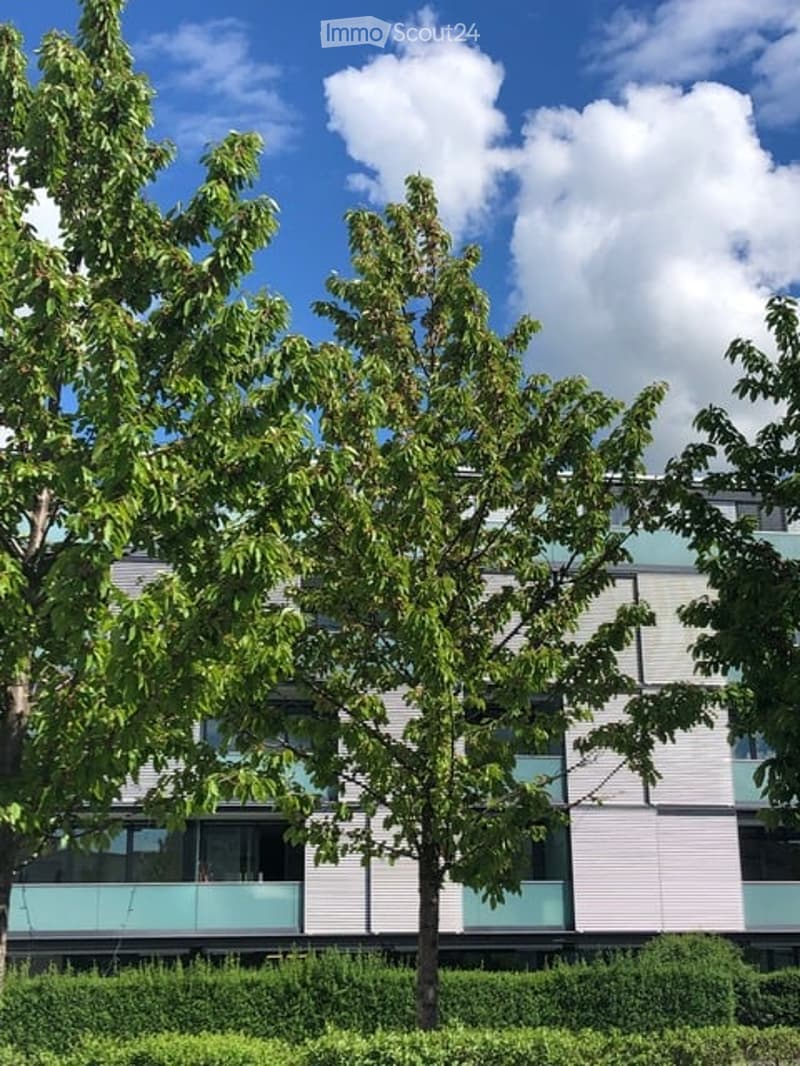 Modern multi-story building with light-colored facade, large windows, and balconies, surrounded by trees and greenery.