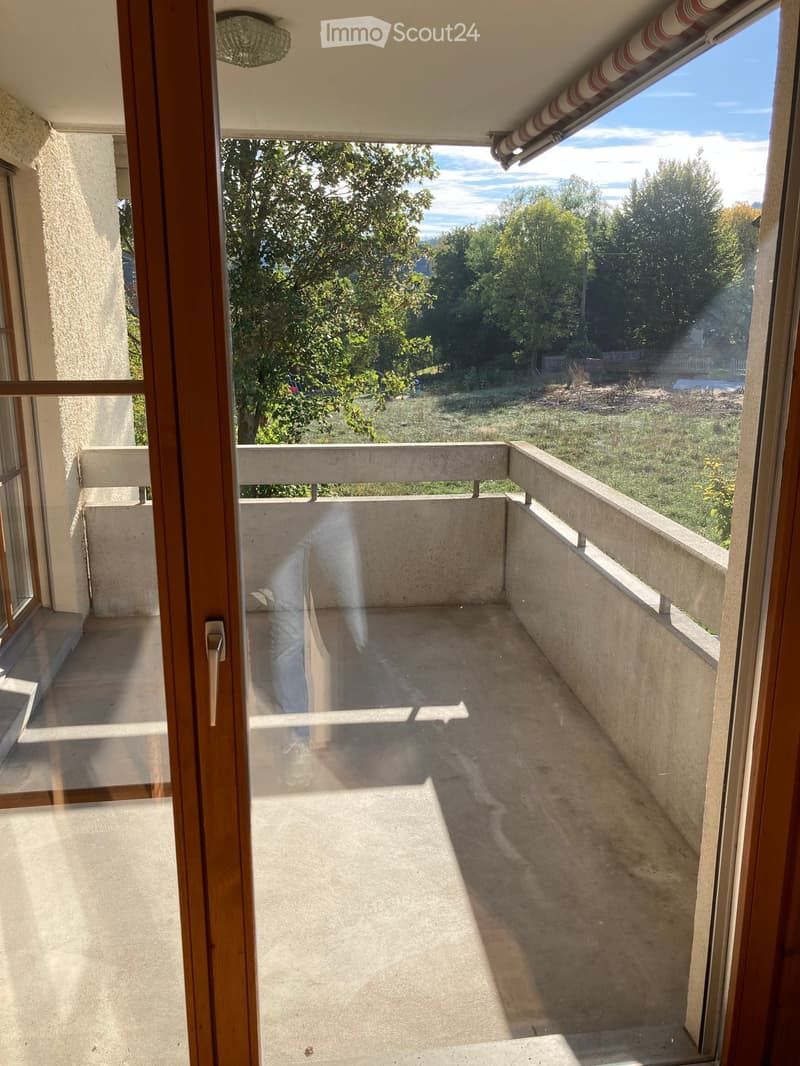 Balcony with concrete floor, wooden frame, and glass door, overlooking a green landscape with trees and open field.