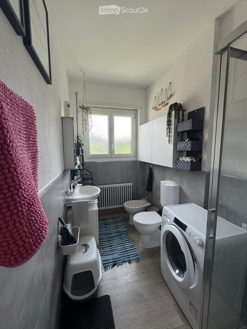 Modern bathroom with a sink, toilet, bidet, washing machine, and cat litter box. Features a window, radiator, mirror, and decorative elements including a pink towel and a rug.
