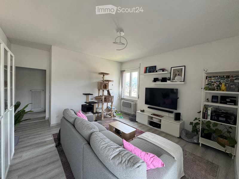 Modern living room with a grey sofa, pink cushions, a coffee table, a cat tree, a television on a white stand, shelves with decorative items, and plants.