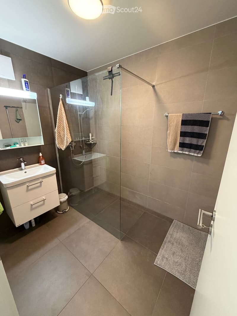 Modern bathroom with a glass-enclosed shower, a white sink with a mirror, and a towel rack with towels.