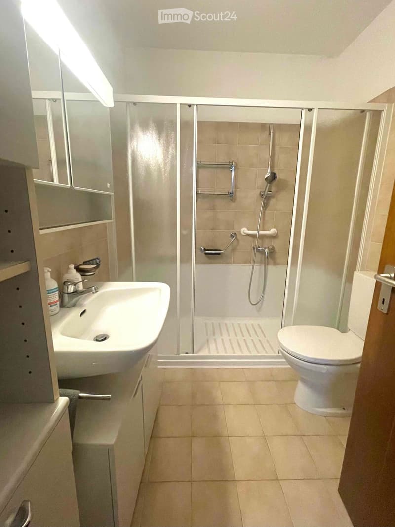 Modern bathroom with a white sink, toilet, and walk-in shower with glass enclosure. Features a mirror above the sink and a bottle on the counter.