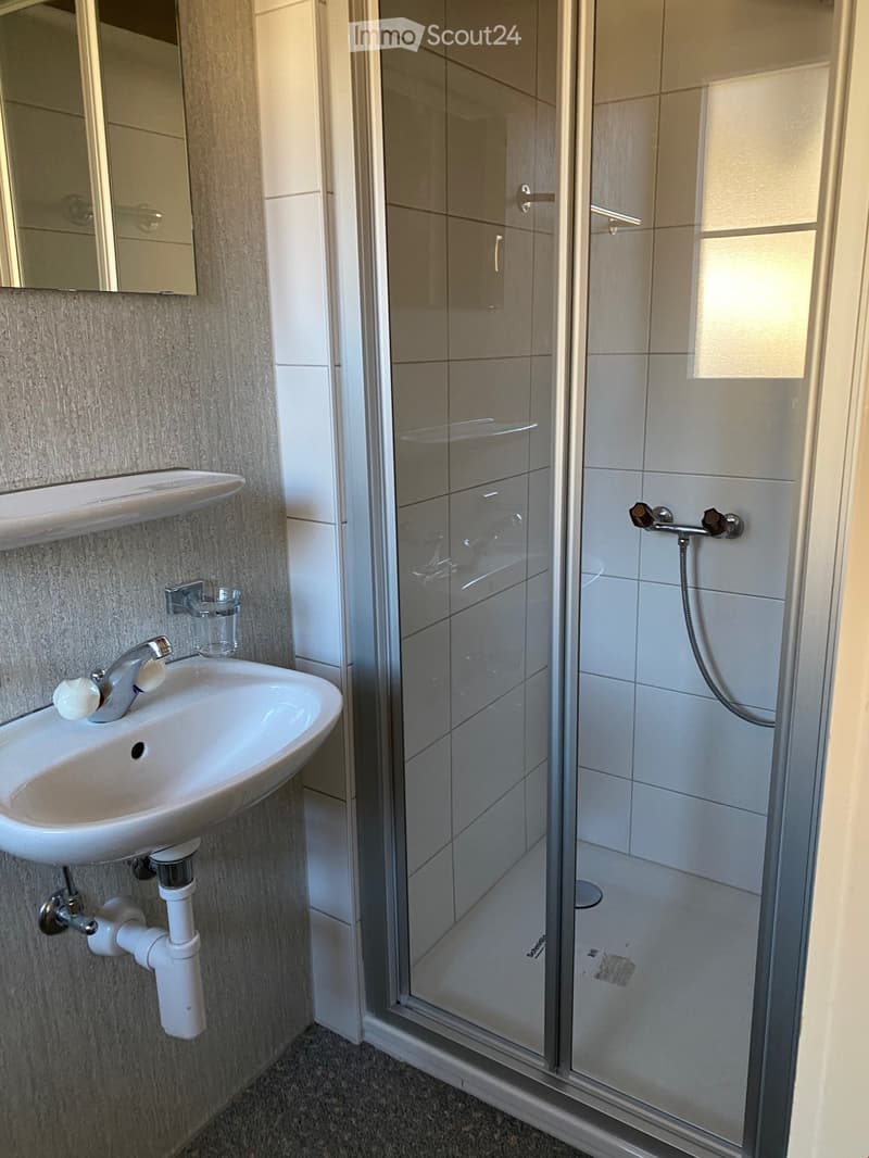 A small bathroom with shower cubicle, sink, mirror, and wall shelves.