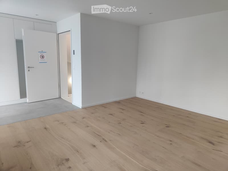 empty room, white walls, wooden floor, grey entrance floor, door