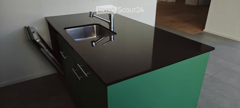 Modern kitchen with black countertop, stainless steel sink, and green lower cabinets.