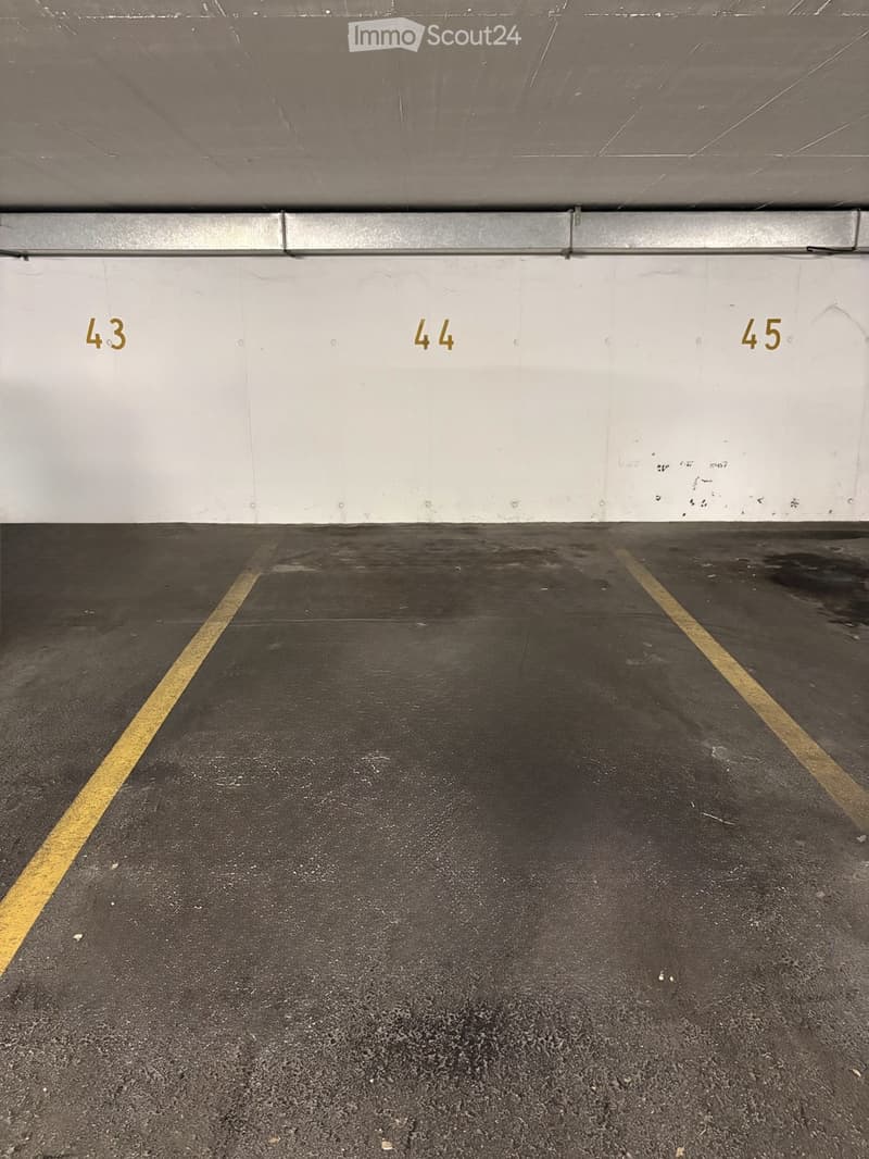 {"type": "Parking place", "objects": [], "description": "Empty underground parking space with numbered stalls (43, 44, 45) and marked parking lines.", "localized_descriptions": {"EN": "Empty underground parking space with numbered stalls (43, 44, 45) and