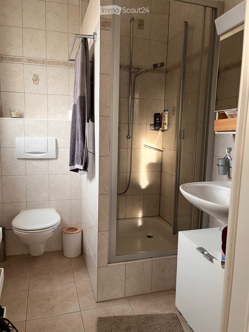 Salle de bain douche / wc