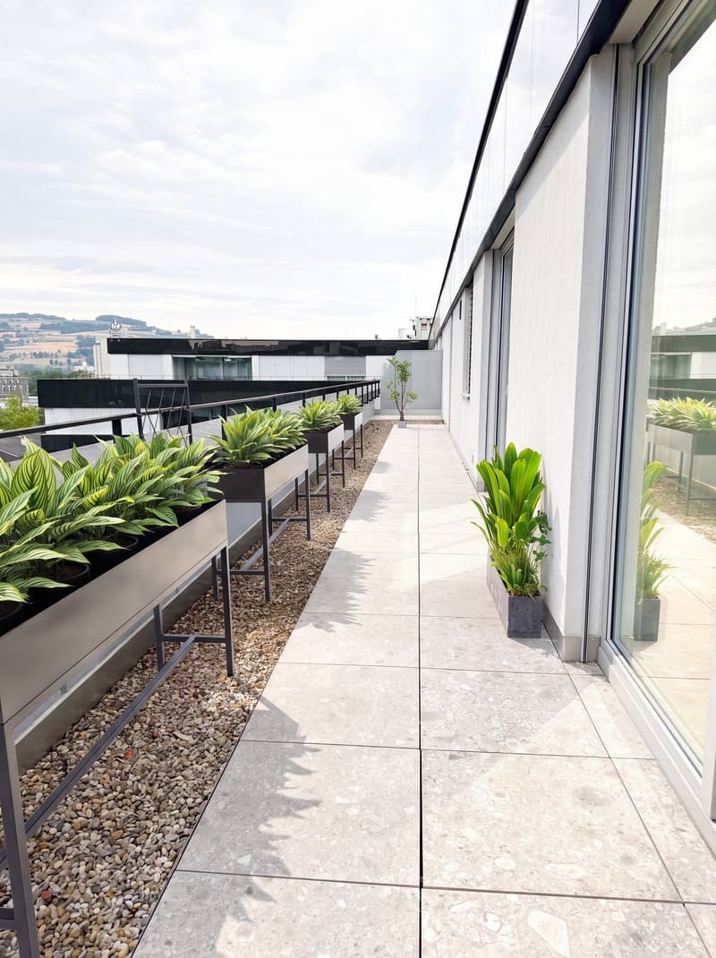 Modern rooftop terrace with a paved walkway, potted plants, and a view of the surrounding area.