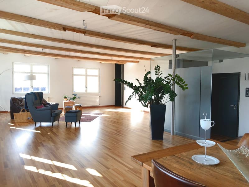 Bright living room with wooden floors, exposed wooden beams, large windows, and modern furniture including a sofa, chairs, a small table, and a tall plant in a pot.