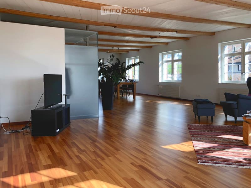 Bright living room with wooden floors, large windows, a sofa, chairs, a coffee table, a television, and a plant in a pot.