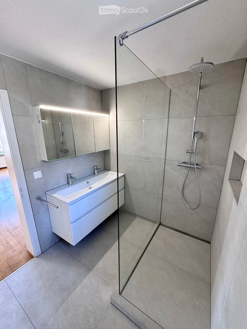 Modern bathroom with a white sink, mirror, and glass-enclosed shower area.