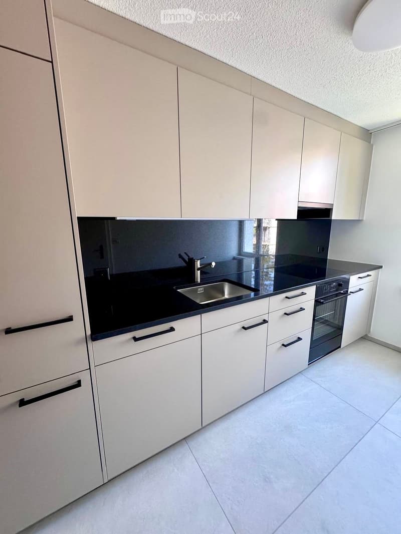 Modern kitchen with white cabinets, black countertops, a stainless steel sink, and a built-in oven.