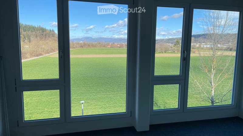 Empty room with large windows offering a scenic view of a green field, trees, and distant mountains under a clear blue sky.