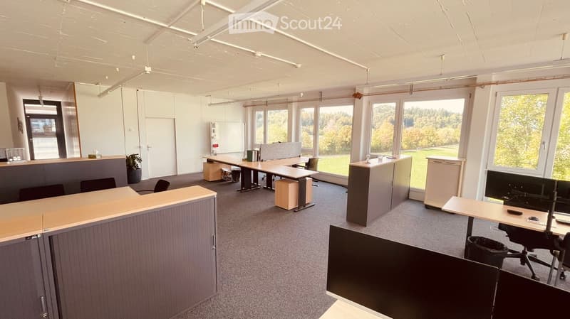 Modern office space with desks, chairs, computer screens, and a potted plant. Large windows provide natural light and a view of greenery outside.