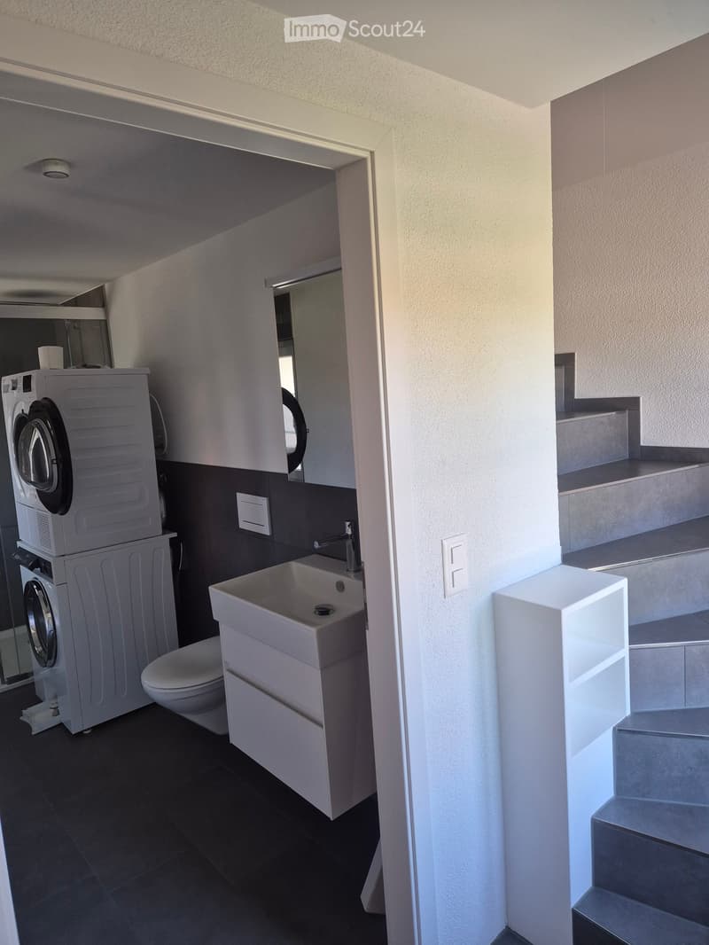 Modern bathroom with a white sink, faucet, toilet, washing machine, and a mirror above the sink. The walls are light-colored with dark lower panels.