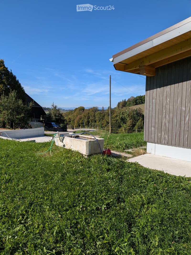 Lush green grass area with a modern wooden house, a concrete water tank, and a hose reel nearby. The background features trees and a clear blue sky.