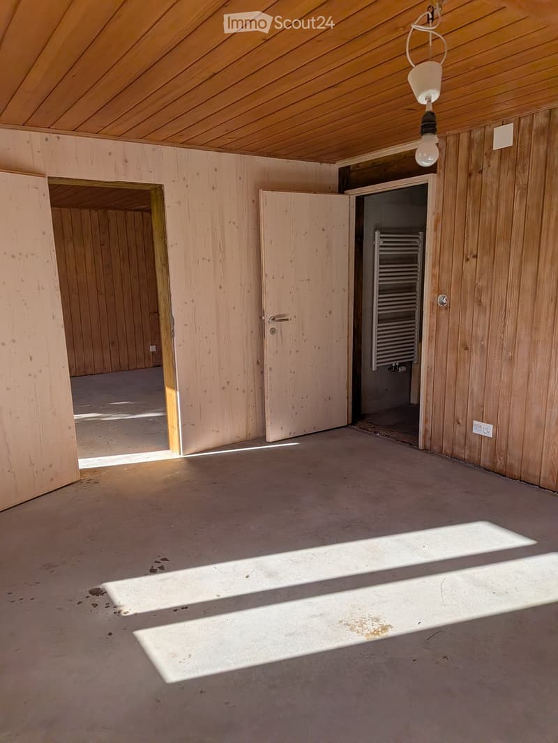 Empty room with wooden walls and ceiling, concrete floor, and a single light fixture. There are two open doorways leading to other spaces.