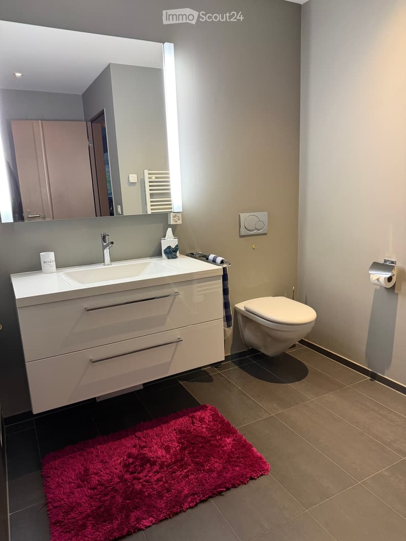 Modern bathroom with a white sink, chrome faucet, large mirror, toilet, and a red fluffy rug on the floor.